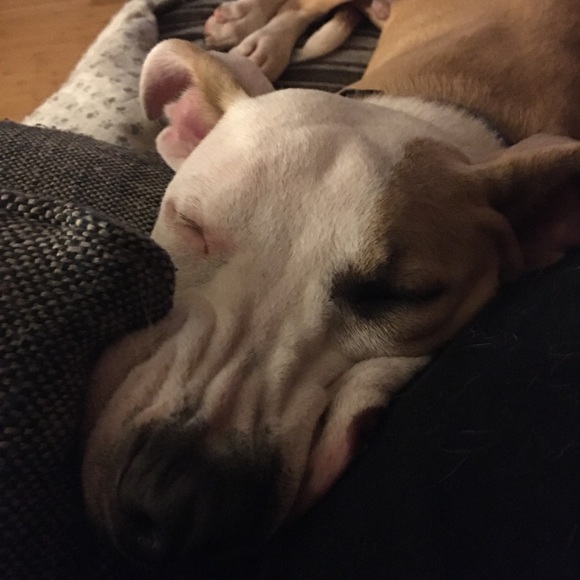 Meet your Posher, Paul - Picture 2 of 2